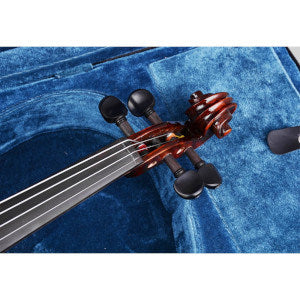 BV250 Violin