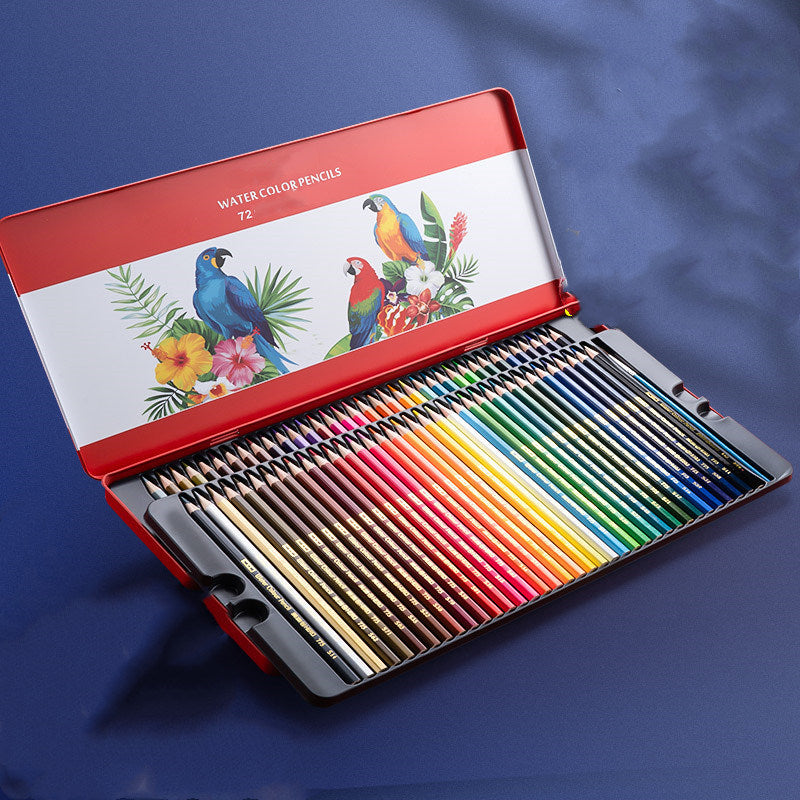 Water-Soluble/ Oil-Based Color Pencil Drawing Set