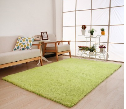 Plush Area Carpet Rug/Tapete