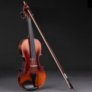 BV250 Violin