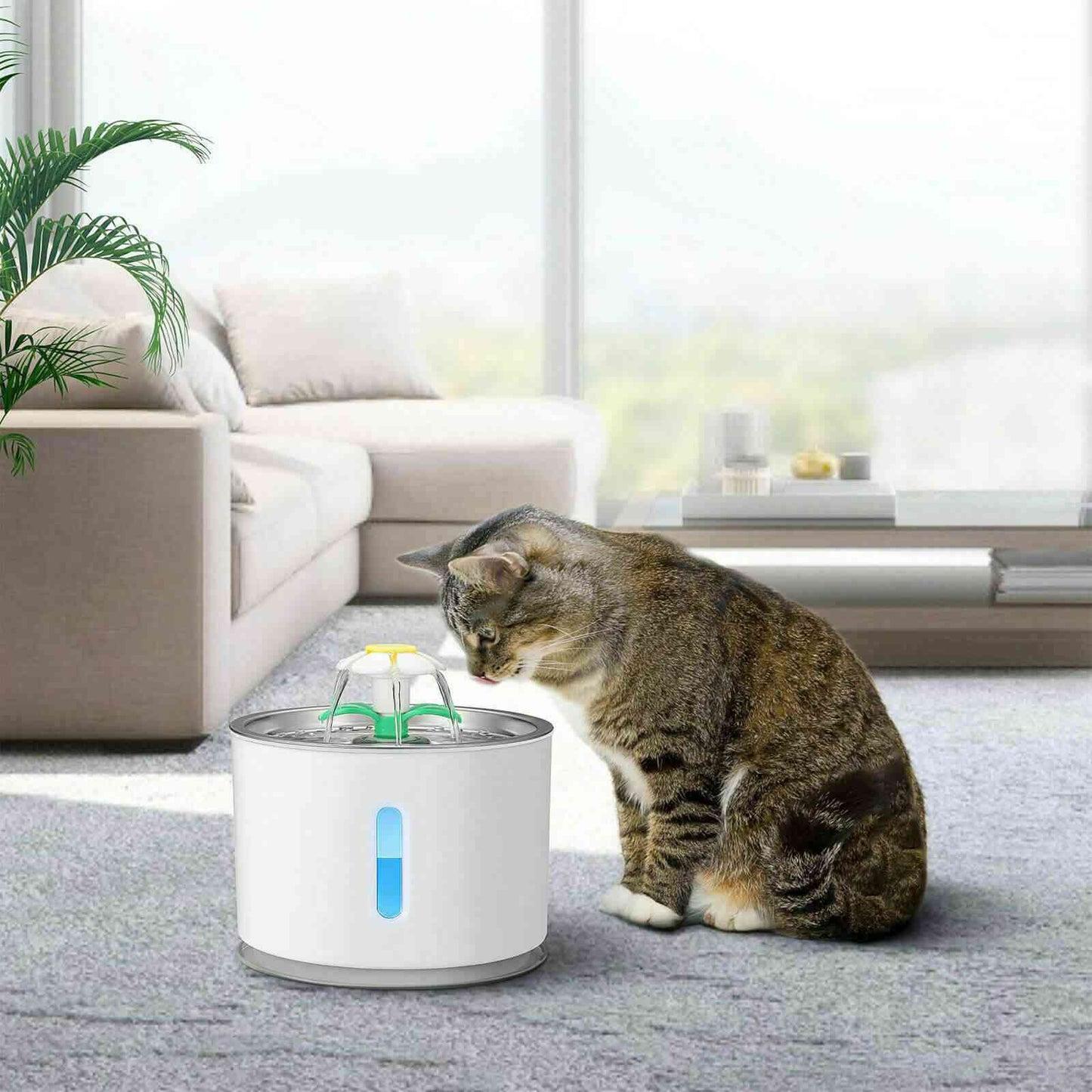 2.4L Automatic Pet Water Dispenser w/ 3 Filter & Brush