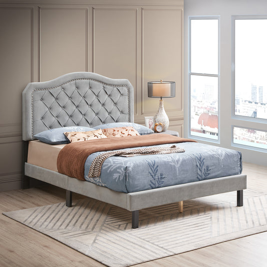 Upholstered Bed Button Tufted with Curve Design- Gray Velvet  (Queen)