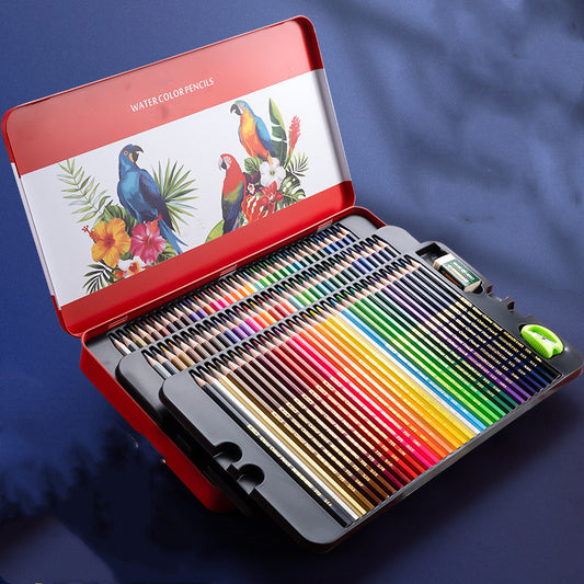 Water-Soluble/ Oil-Based Color Pencil Drawing Set