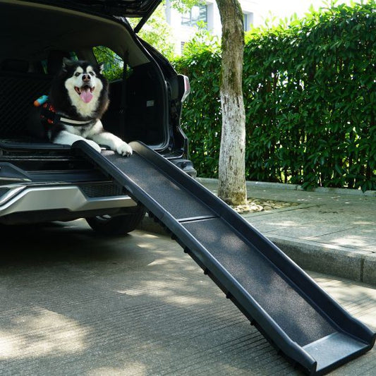 Portable Foldable Pet Ramp Climbing Ladder - Black