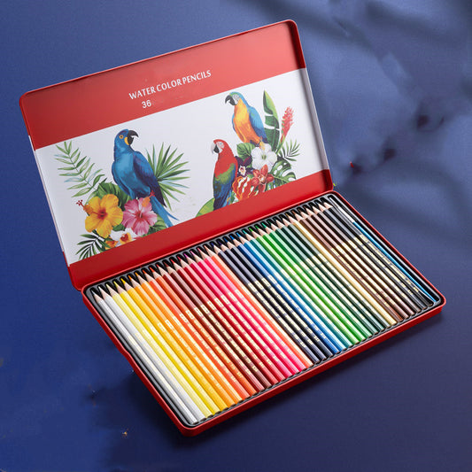 Water-Soluble/ Oil-Based Color Pencil Drawing Set