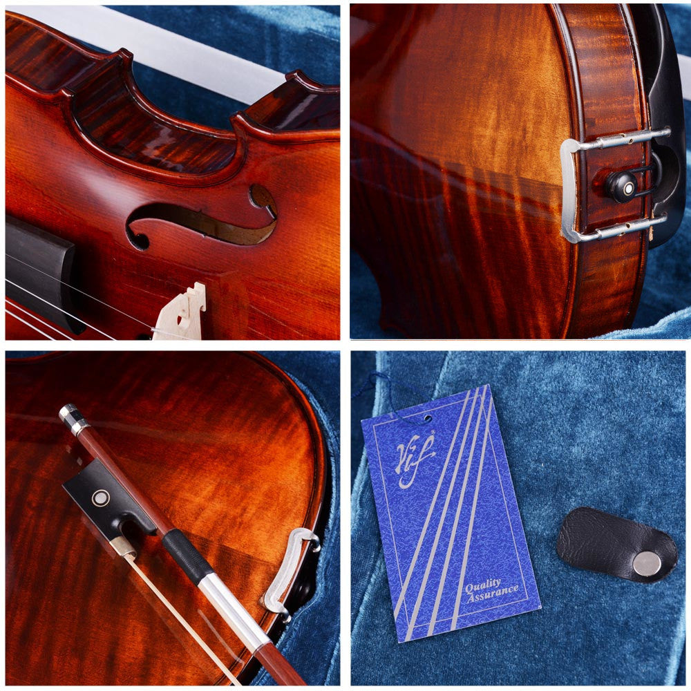 BV250 Violin