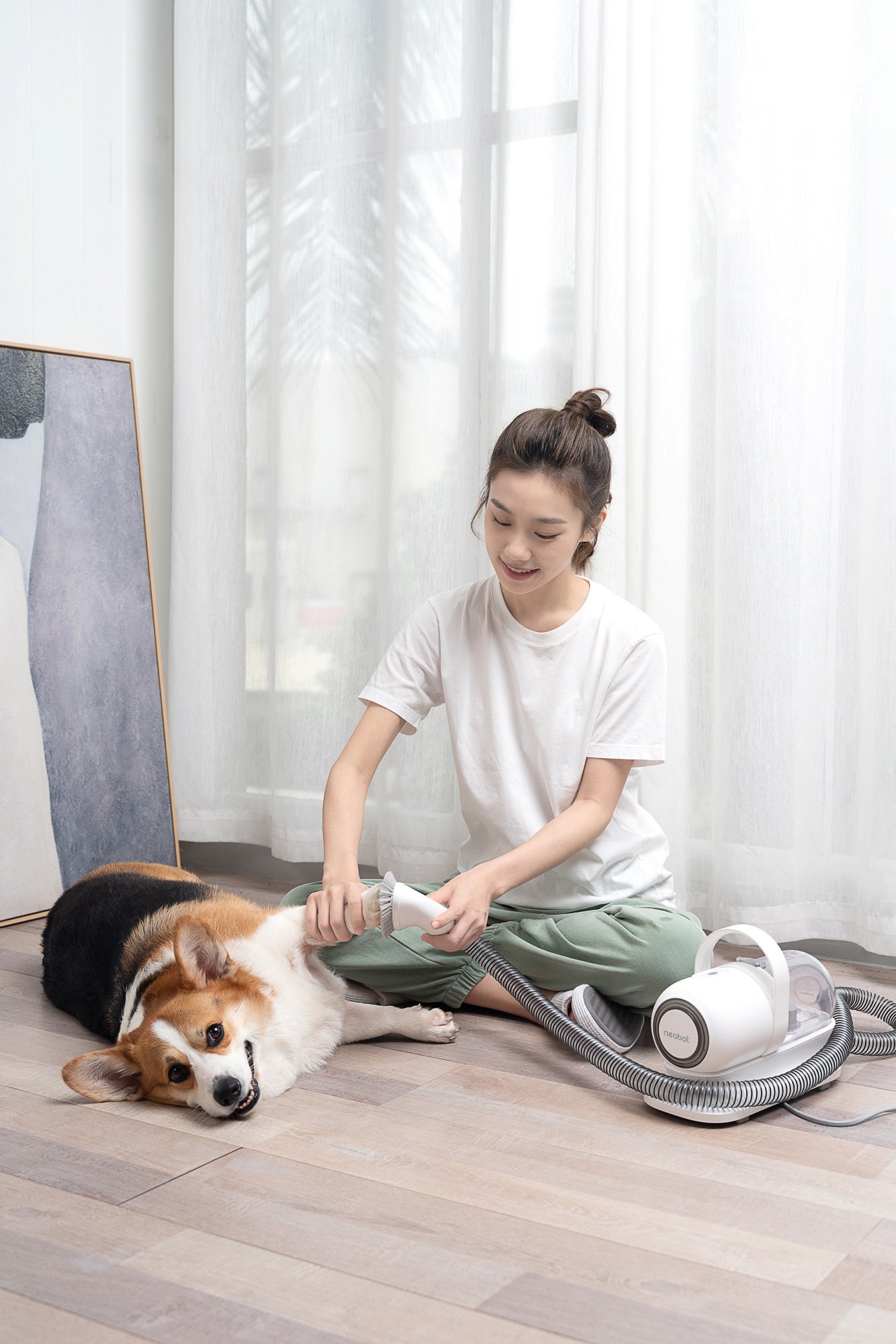 Vacuumable Pet Groomer Pet Grooming Vacuum Cleaner